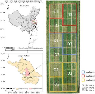 Rapid Detection of Wheat Ears in Orthophotos From Unmanned Aerial Vehicles in Fields Based on YOLOX